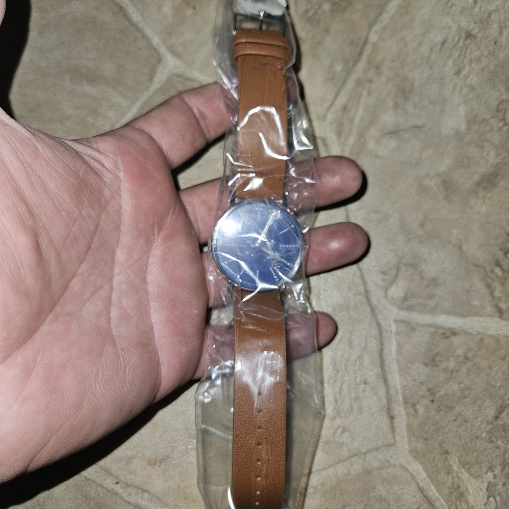 Skagen Brown Leather Strap Watch
